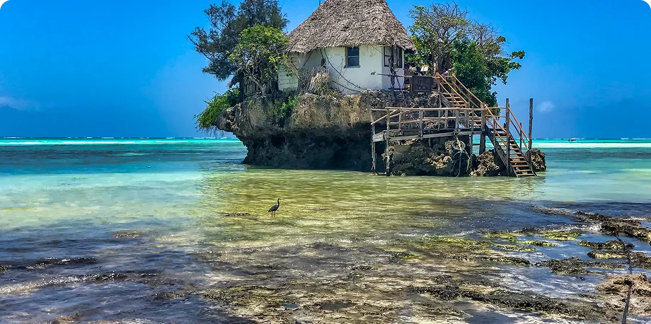 South Ari & Laamu Atolls